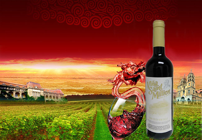 Wine series-Vina Saint Million 750ml